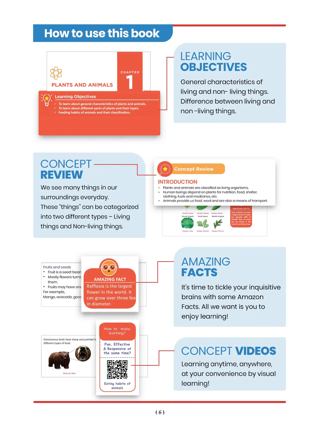 One For All Workbook Concept Wise Class-3 English, Math, Science & General Knowledge (Set Of 4 Books) (For Latest Exam) - Image 2